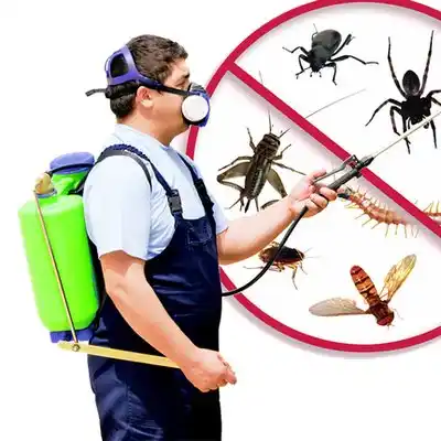 pest control High Bridge